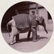 Image for article titled 14 Amateur Photos Taken With the Very First Consumer Camera